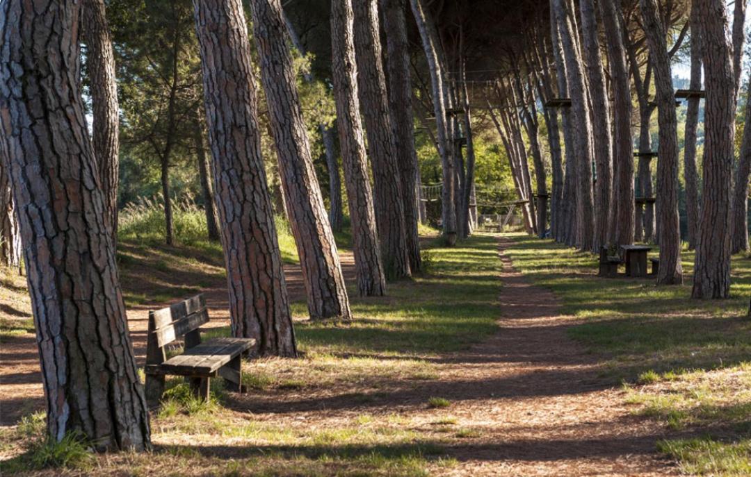 Alloggio Turistico Puccini 페루자 외부 사진